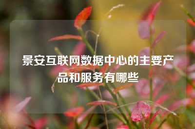 景安互联网数据中心的主要产品和服务有哪些