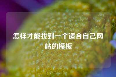 怎样才能找到一个适合自己网站的模板