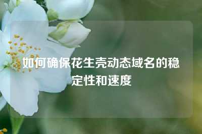 如何确保花生壳动态域名的稳定性和速度