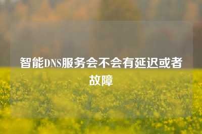 智能DNS服务会不会有延迟或者故障