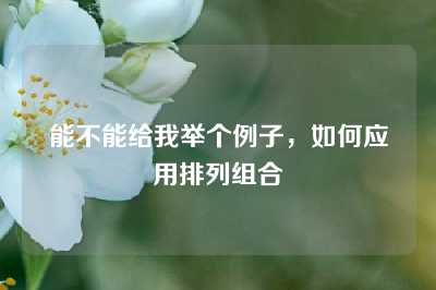 能不能给我举个例子，如何应用排列组合