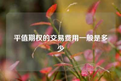 平值期权的交易费用一般是多少