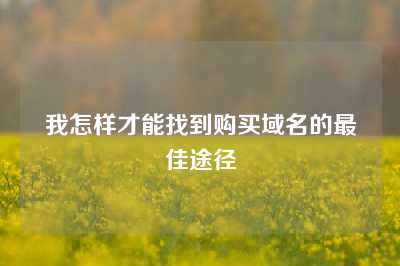 我怎样才能找到购买域名的最佳途径