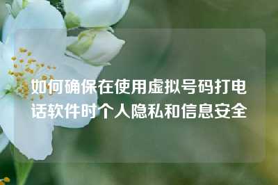 如何确保在使用虚拟号码打电话软件时个人隐私和信息安全