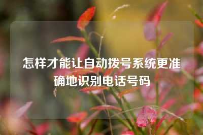 怎样才能让自动拨号系统更准确地识别电话号码