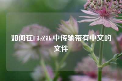 如何在FileZilla中传输带有中文的文件