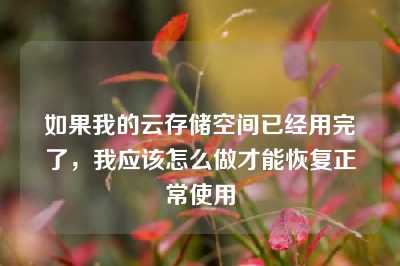 如果我的云存储空间已经用完了，我应该怎么做才能恢复正常使用