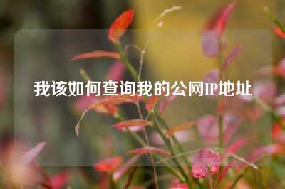 我该如何查询我的公网IP地址