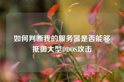 如何判断我的服务器是否能够抵御大型DDOS攻击