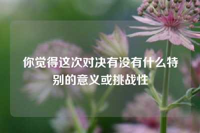 你觉得这次对决有没有什么特别的意义或挑战性