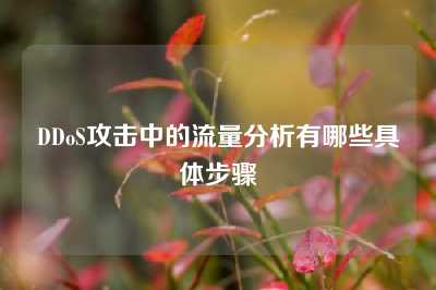 DDoS攻击中的流量分析有哪些具体步骤