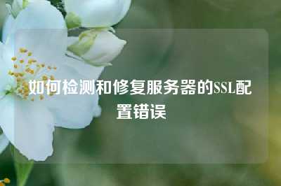 如何检测和修复服务器的SSL配置错误