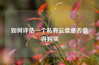 如何评估一个私有云盘是否值得购买
