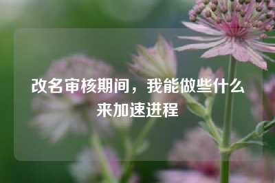 改名审核期间，我能做些什么来加速进程
