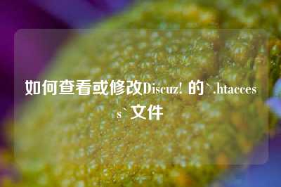 如何查看或修改Discuz! 的`.htaccess`文件