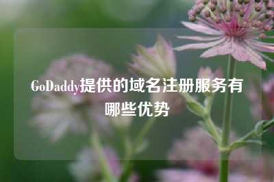 GoDaddy提供的域名注册服务有哪些优势
