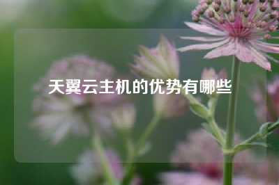 天翼云主机的优势有哪些