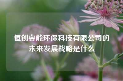 恒创睿能环保科技有限公司的未来发展战略是什么