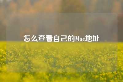 怎么查看自己的Mac地址