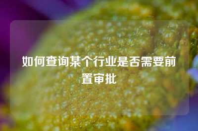 如何查询某个行业是否需要前置审批