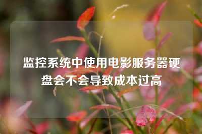 监控系统中使用电影服务器硬盘会不会导致成本过高