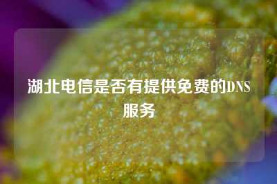 湖北电信是否有提供免费的DNS服务