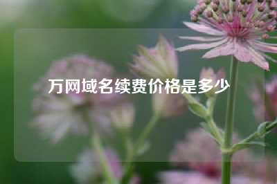 万网域名续费价格是多少