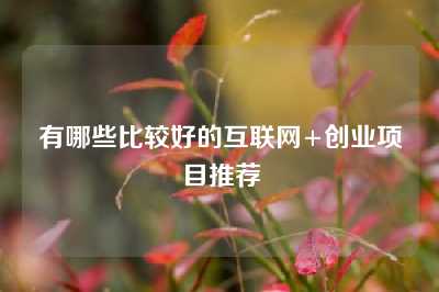 有哪些比较好的互联网+创业项目推荐