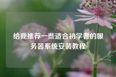 给我推荐一些适合初学者的服务器系统安装教程