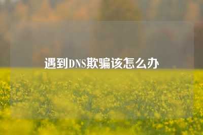 遇到DNS欺骗该怎么办
