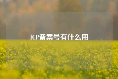 ICP备案号有什么用