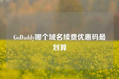 GoDaddy哪个域名续费优惠码最划算