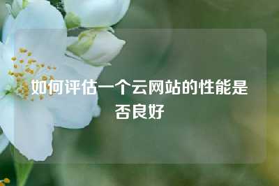 如何评估一个云网站的性能是否良好