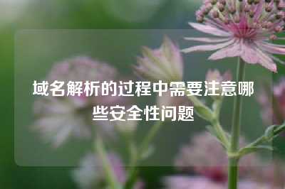 域名解析的过程中需要注意哪些安全性问题