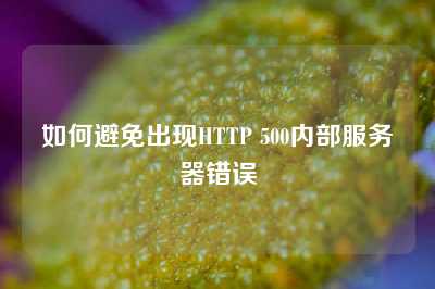 如何避免出现HTTP 500内部服务器错误