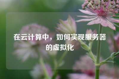 在云计算中，如何实现服务器的虚拟化
