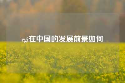 cgi在中国的发展前景如何
