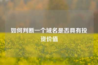 如何判断一个域名是否具有投资价值