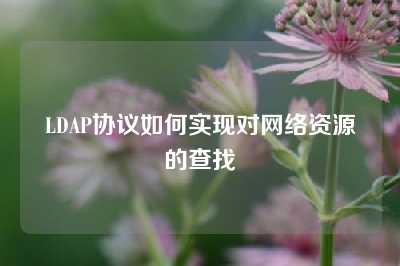 LDAP协议如何实现对网络资源的查找