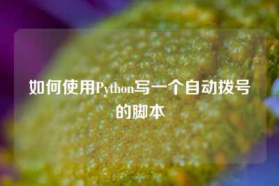 如何使用Python写一个自动拨号的脚本