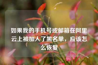 如果我的手机号或邮箱在阿里云上被加入了黑名单，应该怎么恢复