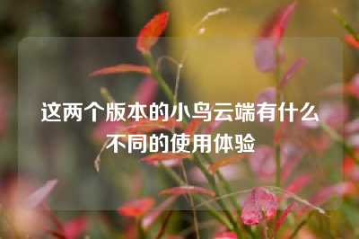 这两个版本的小鸟云端有什么不同的使用体验