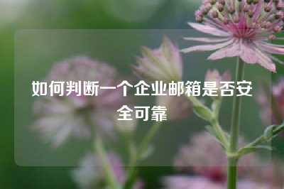 如何判断一个企业邮箱是否安全可靠