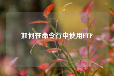 如何在命令行中使用FTP