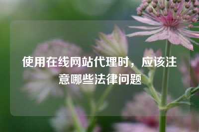使用在线网站代理时，应该注意哪些法律问题