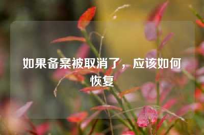 如果备案被取消了，应该如何恢复
