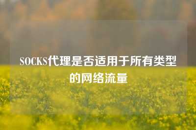 SOCKS代理是否适用于所有类型的网络流量