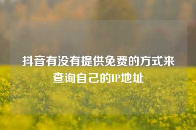 抖音有没有提供免费的方式来查询自己的IP地址