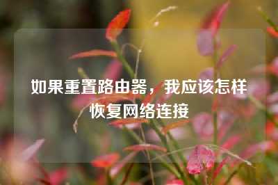 如果重置路由器，我应该怎样恢复网络连接